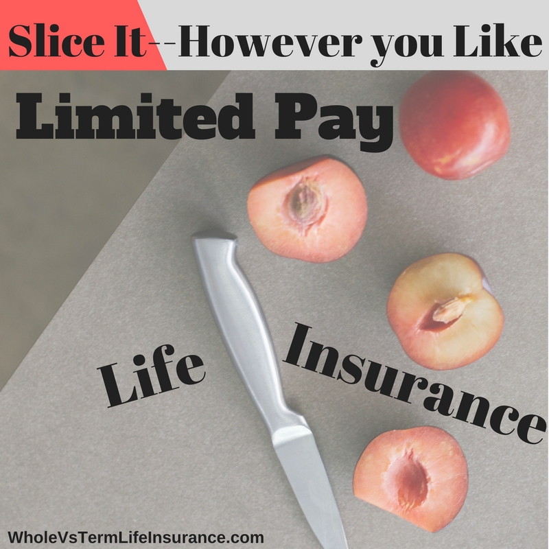 Limited Pay Life Insurance Policy