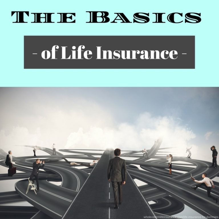 Life Insurance for Dummies Whole Vs Term Life