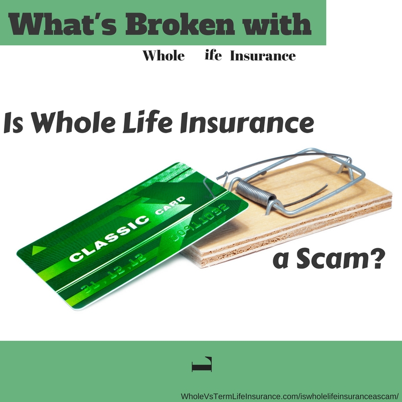 scam whole life insurance