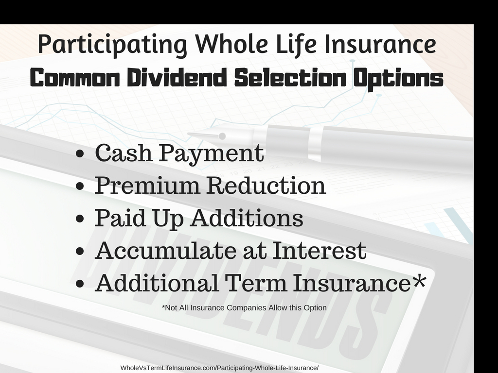 Dividend Selection options- cash, accumulate interest, paid up additions, buy more term insurance