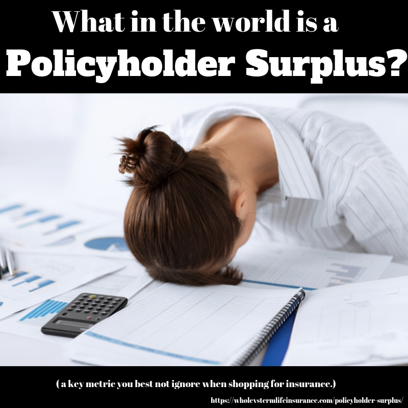 What is a policy holder surplus?